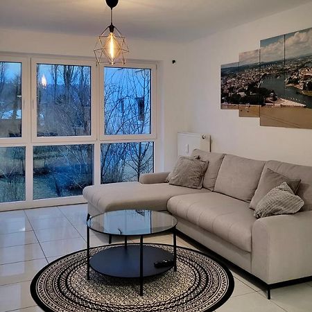 Schoene Und Ruhige Wohnung Direkt An Der Mosel Кобленц Екстериор снимка