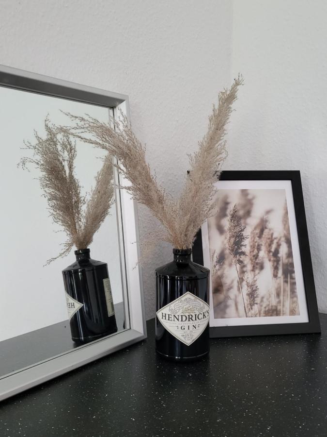 Schoene Und Ruhige Wohnung Direkt An Der Mosel Кобленц Екстериор снимка